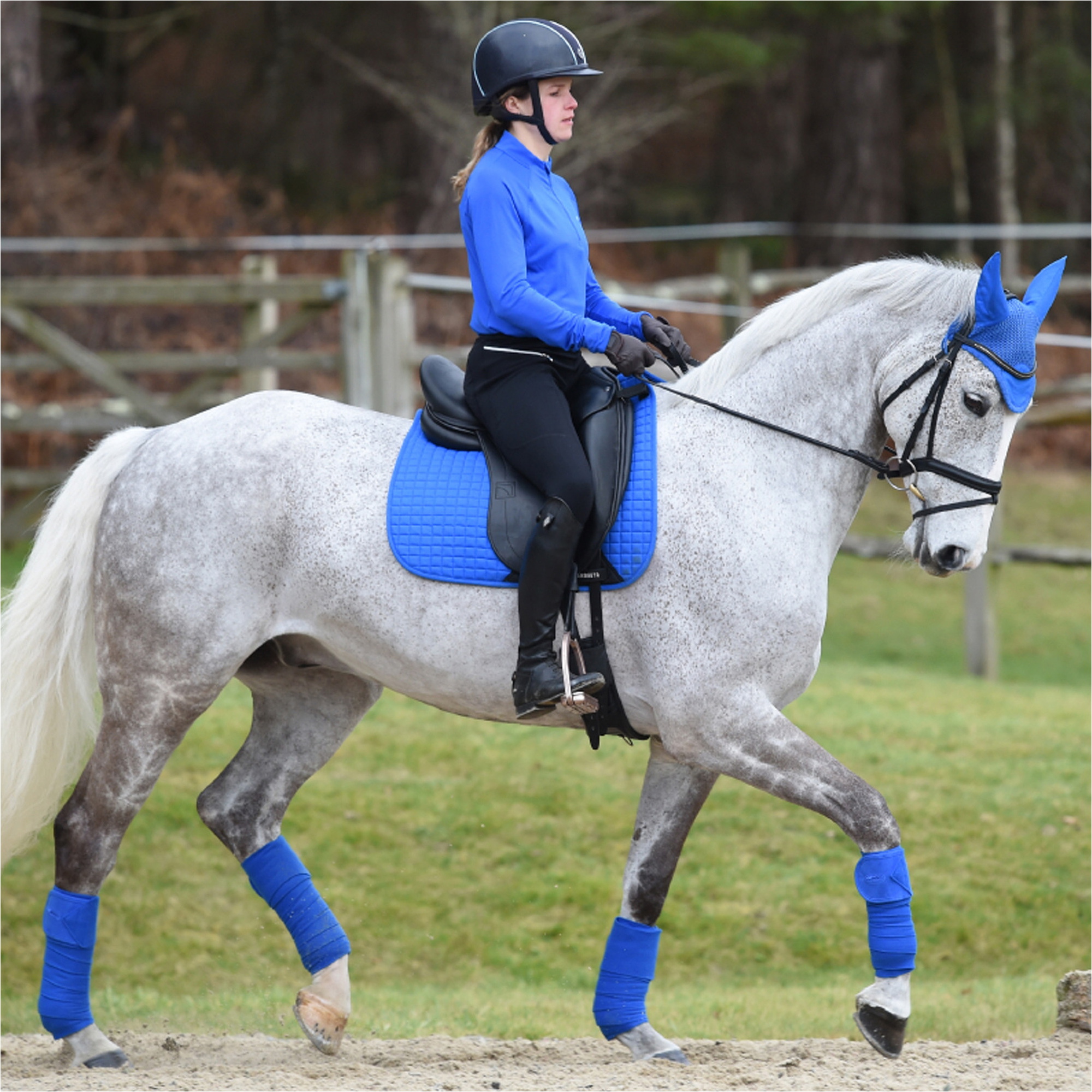 Weatherbeeta Prime Ear Bonnet 1000071 - Royal Blue
